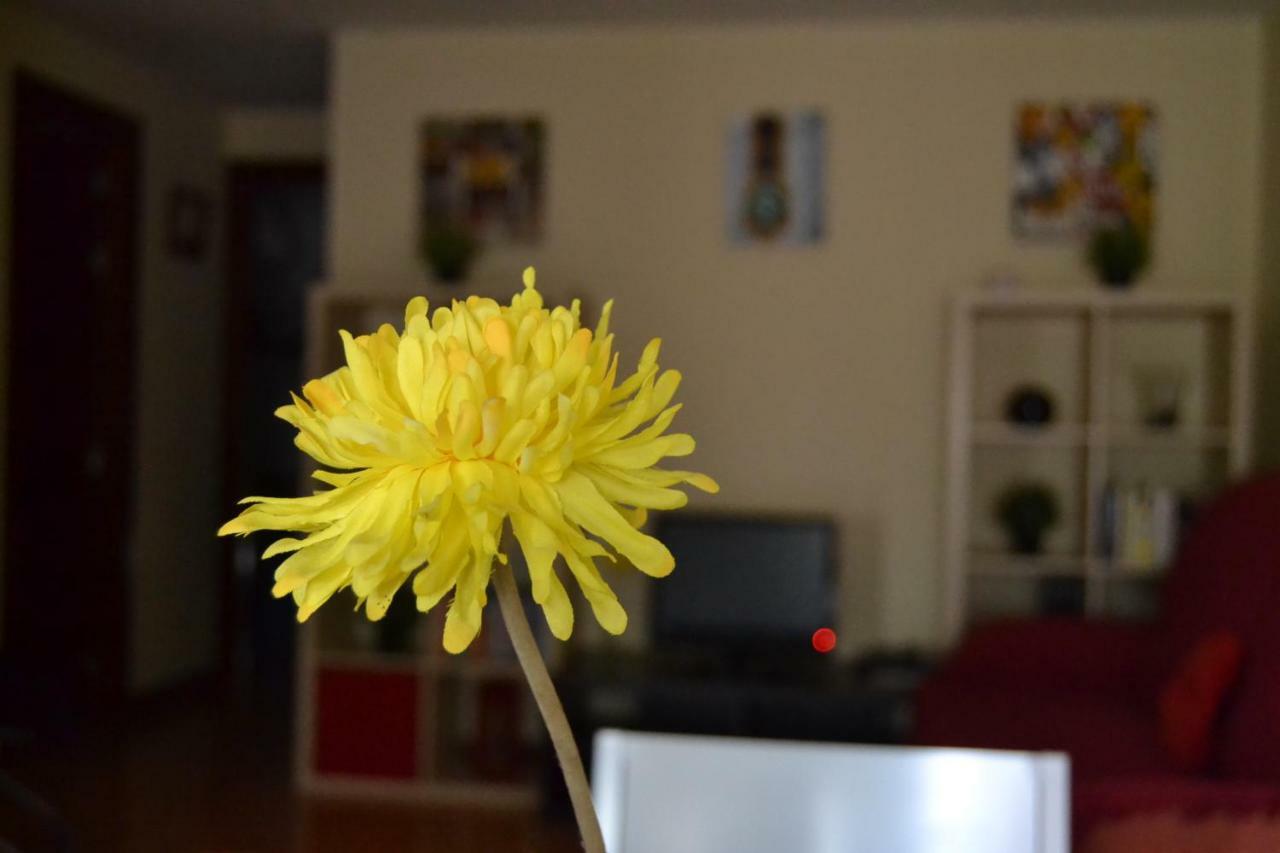 Apartamento Turistico Dct. Creus Guadalajara Esterno foto